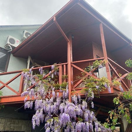 Fkoka Bed & Breakfast Berehove  Bagian luar foto