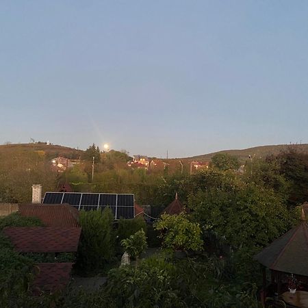 Fkoka Bed & Breakfast Berehove  Bagian luar foto