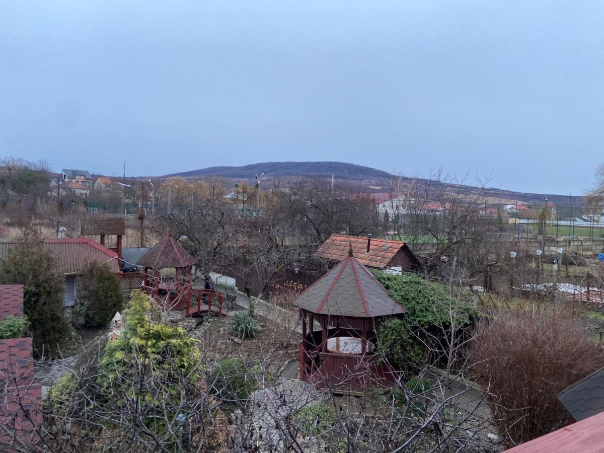 Fkoka Bed & Breakfast Berehove  Bagian luar foto