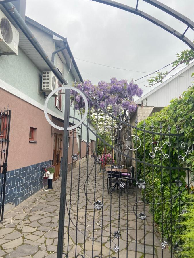 Fkoka Bed & Breakfast Berehove  Bagian luar foto