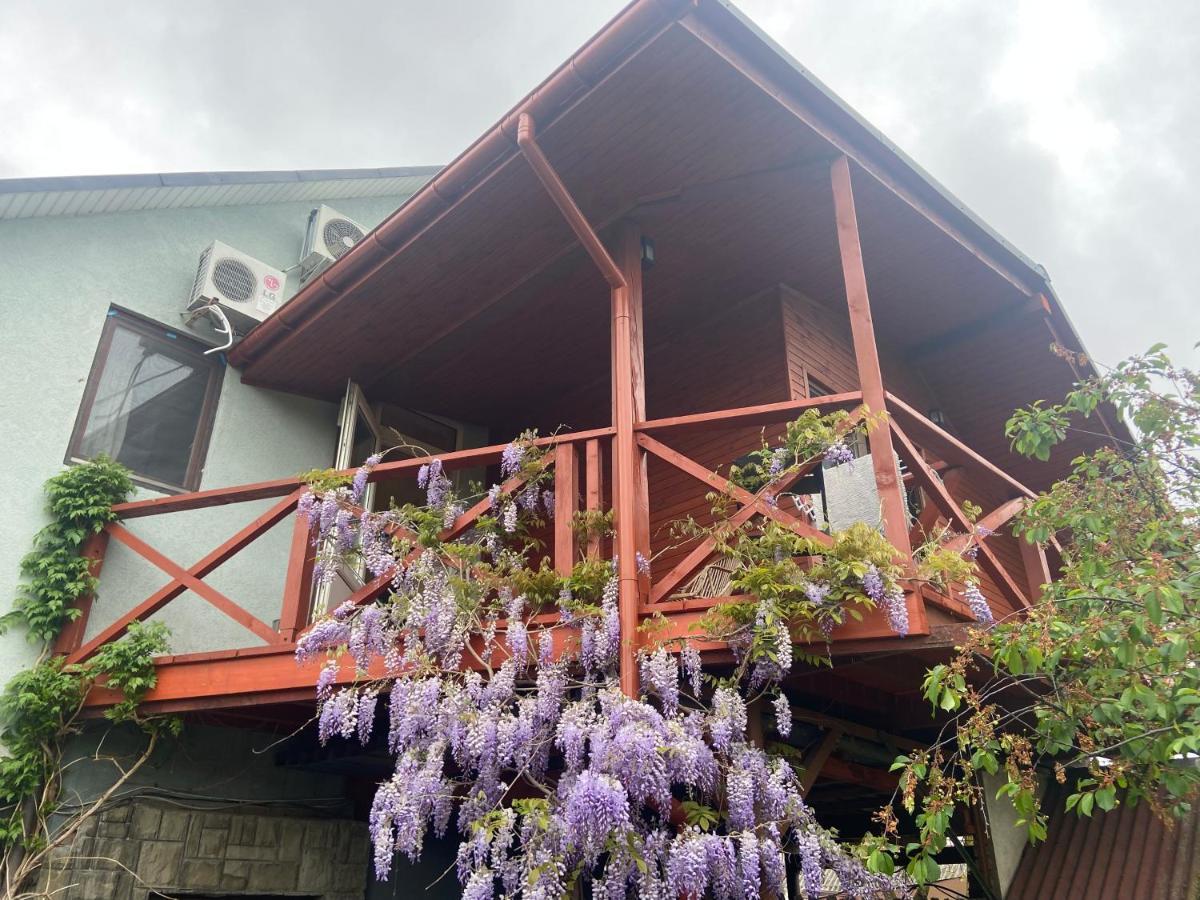 Fkoka Bed & Breakfast Berehove  Bagian luar foto