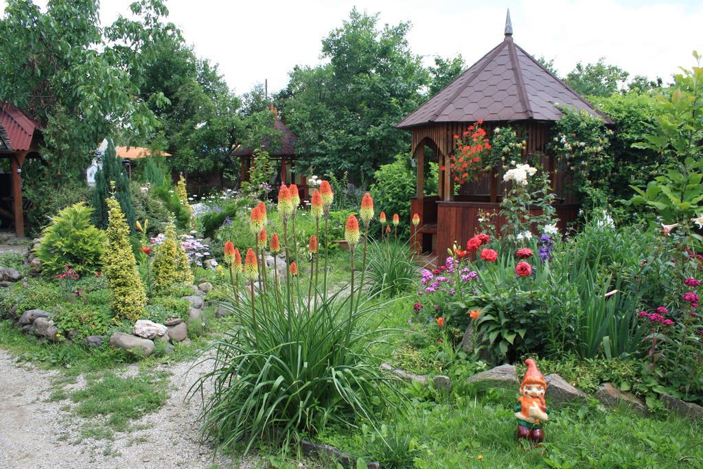 Fkoka Bed & Breakfast Berehove  Bagian luar foto