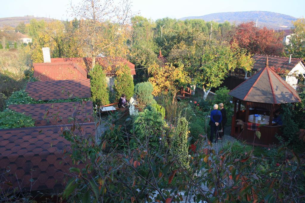 Fkoka Bed & Breakfast Berehove  Bagian luar foto