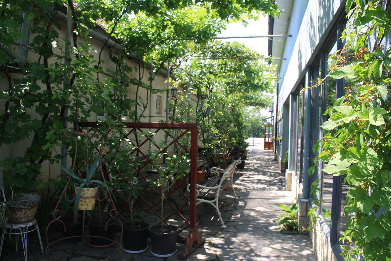 Fkoka Bed & Breakfast Berehove  Bagian luar foto
